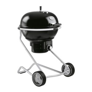 Rösle Air F60 Barbekü, Kömürlü